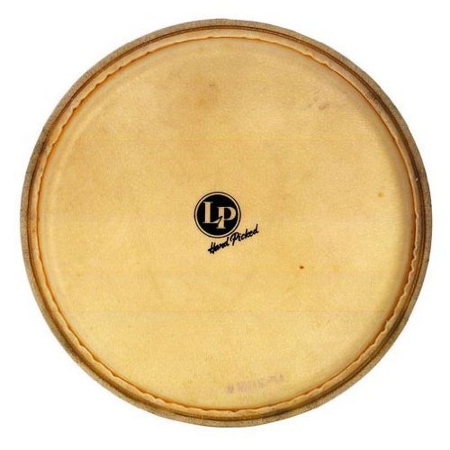 Djembe Head