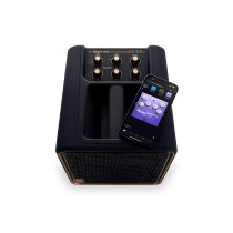 Portable 4-Channel Smart Amp & PA System, Black