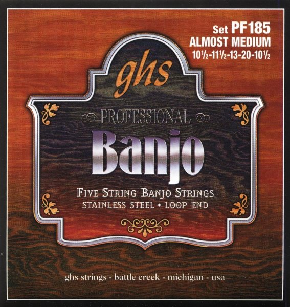 Stainless Steel Loop End 5-String Banjo Strings - Almost-Medium 10.5-20