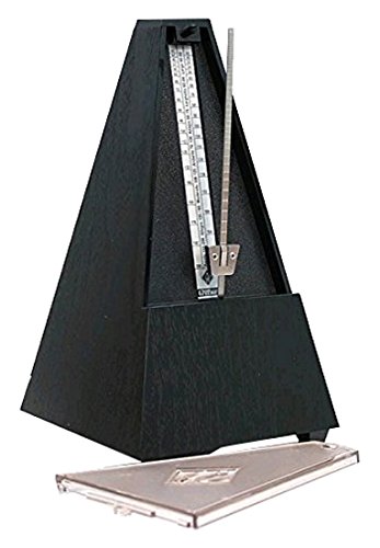 Plastic Casing Metronome