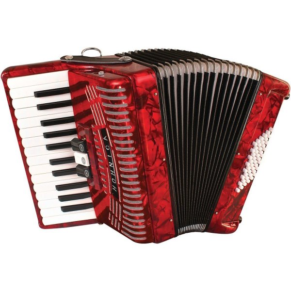 48 Bass Piano Accordion With Gig Bag And Strap