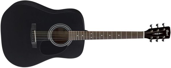 Standard Series Spruce Top Acoustic Guitar, Black Satin