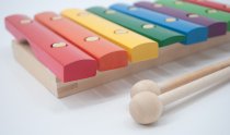 8 Note Wood Xylophone with Mallets