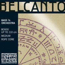 Belcanto Double Bass Single G String