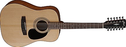 12 String Acoustic Guitar, Open Pore