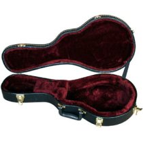 Mandolin Case